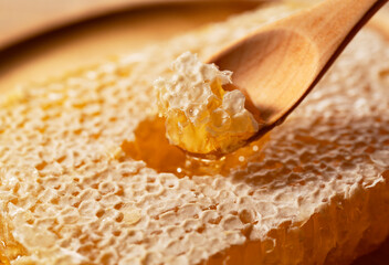 Macro Shot of a Wooden Spoon Scooping Fresh Raw Honey from an Organic Honeycomb