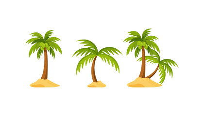 Fototapeta premium Palm tree illustration set with tropical beach vibes, green coconut trees on sandy ground. Perfect for summer design, island theme, travel, vacation, nature, and tropical background concepts.