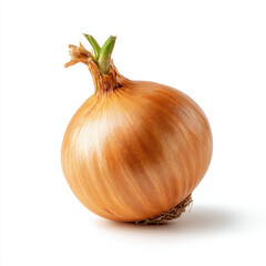 Golden onion bulb with sprout and natural skin texture