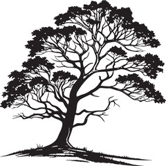 Premium Black Silhouette Vector of Large Tree with Balanced Branches Symbolizing Nature Growth Sustainability Calm