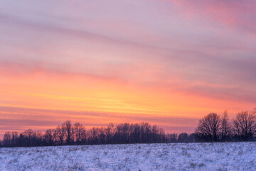 Winter sunset over snowy field with pastel sky