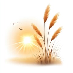 Obraz premium Golden sunrise with birds and tall grass on horizon in tranquil landscape on white background