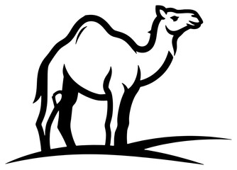 Standing camel in desert