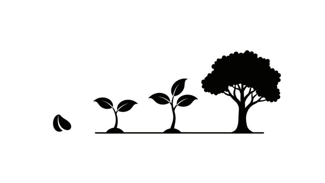 Growth stages of a tree from seed to maturity, simple vector illustration on white background.
