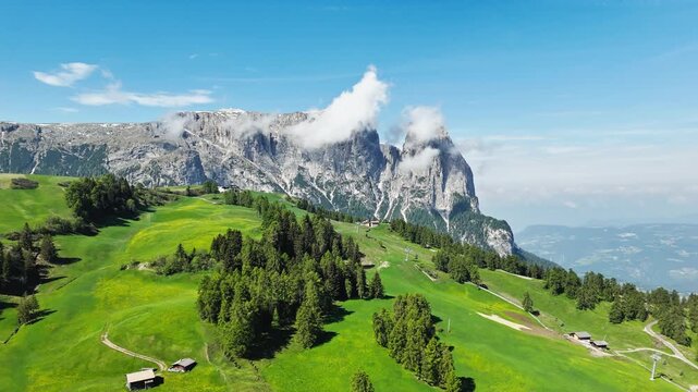 Fields and trees on Alpe di Siusi under the Catinaccio crest, aerial view. Dolomite alpine terrain in summer