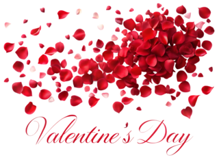 Red rose petals on black background with Valentines Day text