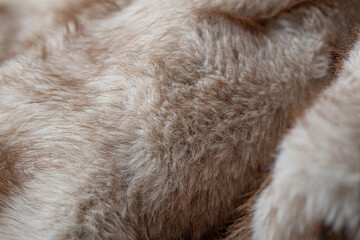 Fototapeta premium Luxurious soft natural beige and brown animal fur texture provides warm cozy fluffy material