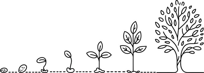 Plant growth stages sequence illustrating seed germination seedling sprout young plant sapling maturing into full grown tree line art © Mujahid