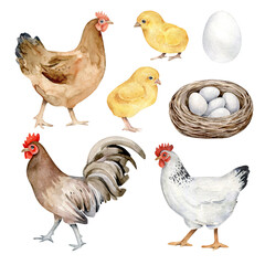 hen and chicken.Watercolor farm collection. Hen, rooster and chicken.Hand drawn set with hen, cock,chicken,nest,eggs.Farm.Countryside © Victoria