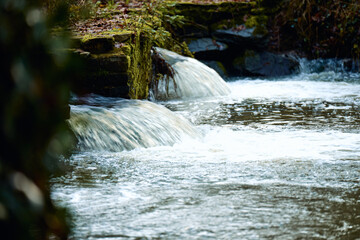 Eau vive sur pierre couverte de mousse

