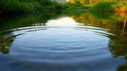 Close-up on Ripple Edge A macro shot focusing on the leading edge of a slow ripple ring, showcasing the subtle distortion and refraction of the water's surface as it moves, with blurred reflections