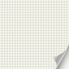 dog-eared sheet of quad-ruled paper, vector illustration