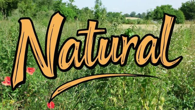 Schriftzug Natural vor einem gr&uuml;nen Natur Pflanzen Hintergrund