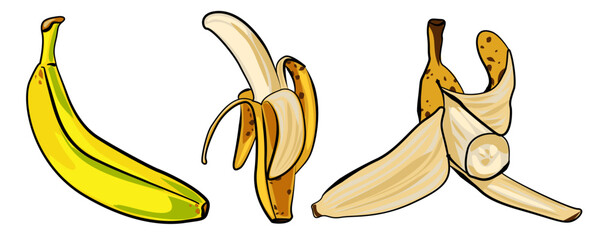 Banana clipart set with three variations: whole banana and peeled banana views isolated on white background. Hand drawn tropical fruit illustration for food design, packaging, stickers and print.