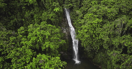 Fiji, Nadi Waterfall: pristine waterfall cascading through a dense, vibrant green rainforest canopy, breathtaking aerial perspective showcasing the untouched beauty of nature. Drone flight