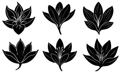 Obraz premium Six Black Floral Silhouettes with White Veining on White Background leaves