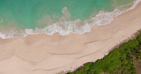 Foamy ocean waves gently breaking on empty sandy beach shoreline, with lush green tropical foliage bordering the sand under bright sky. Travel background. Wild nature. Aerial top down view zoom out
