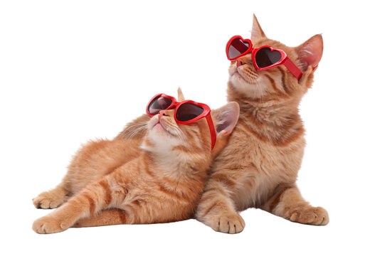 Two ginger kittens with red heart sunglasses reclining together playfully, isolated on a transparent background