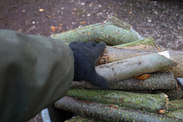 Obraz premium ​A hand in a black protective glove moves freshly cut wooden logs stacked in a metal container.
