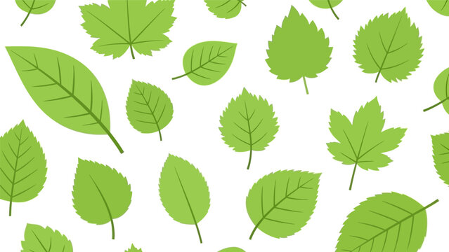 Collection of Various Green Leaves Shapes.