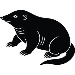 Fototapeta premium Charming collection of realistic rat illustrations capturing playful and curious moments
