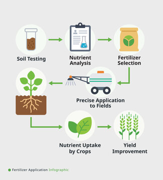 Fertilizer application infographic showing steps from soil testing nutrient analysis selection and precise application