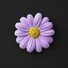 Macro Digital Illustration of a Single Purple Daisy with a Detailed Yellow Center on Black Background

