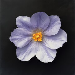 Detailed Macro Illustration of a Single Purple Wildflower with Textured Petals Isolated on Black Background