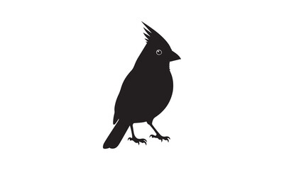 Black silhouette of a cardinal bird standing on its feet, isolated on a white background, vector illustration.