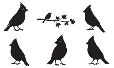 Six black silhouette cardinal birds and one small bird on a branch, isolated on white background, vector.