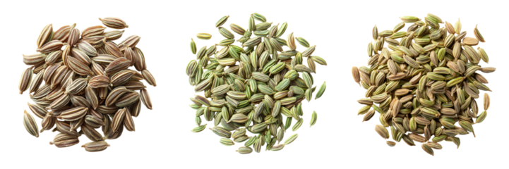 Three piles of dried cumin seeds and fresh green fennel seeds isolated on a transparent background spice