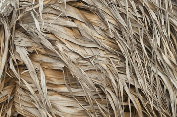 A pile of old dry reeds with leaves closeup