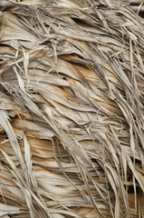 A pile of old dry reeds with leaves closeup
