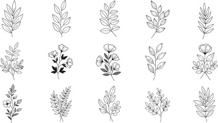 Fototapeta premium Botanical line art, floral illustrations, leaf designs, nature elements, black and white, decorative plants, garden, foliage, sketch, outline, elegant, organic, minimalist, bloom, petal, stem