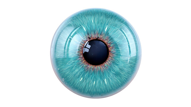 Blue eye iris pupil realistic closeup detailed human vision round glossy medical isolated macro anatomy optical sight biology health science retina cornea lens reflection light circular organ