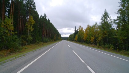 View along a straight highway under a cloudy sky, flanked by dense forests of green and autumnal trees