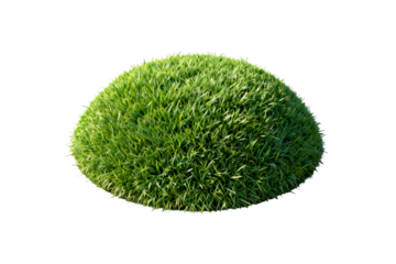 Green Topiary Ball with Fresh Grass Texture