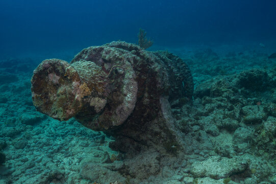 Historic navigation buoy resting on Key Largo seabed