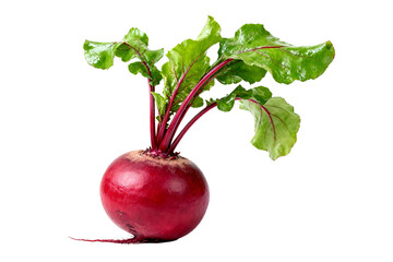 Fresh Red Beetroot with Green Leaves Isolated