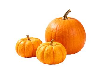 Obraz premium Three orange pumpkins, including a large and two small ones