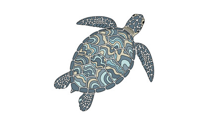 Fototapeta premium Detailed top-down illustration of a sea turtle with intricate green and brown patterns on its shell swimming on white background.