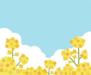 Naklejka premium Beautiful spring background with yellow canola flowers blooming under a clear blue sky and white clouds. Minimalist floral vector illustration perfect for seasonal greetings and nature posters.