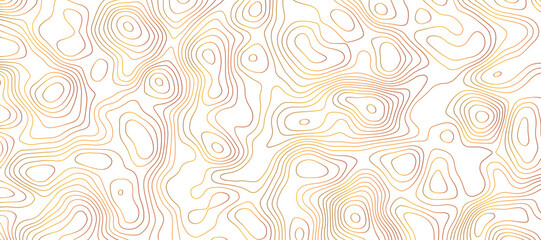 Topographic map and landscape terrain texture grid, Abstract minimal The patter discovery vector Background of the topographic map. Mountain trail terrain or path. Vector illustration.