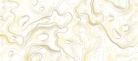 Topographic map and landscape terrain texture grid, Abstract minimal The patter discovery vector Background of the topographic map. Mountain trail terrain or path. Vector illustration.