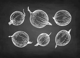 Chalk sketch of gooseberries.