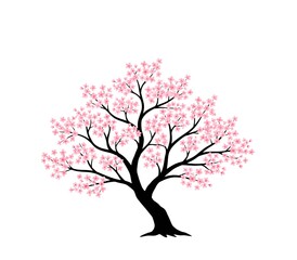 a detailed illustration of a blossoming cherry tree with pink flowers isolated on white transparent background