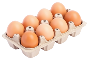 PNG Chicken egg carton food