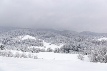 Fototapeta premium Snowfall over the mountains. Snow-covered mountains on a cloudy winter day