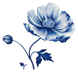 Fototapeta premium PNG Blue flower pattern plant white.
