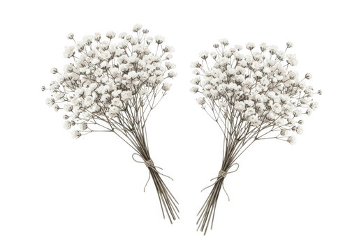 Two delicate bunches of white baby s breath flowers tied with twine
